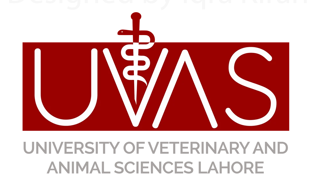 University of Veterinary & Animal Sciences (UVAS)