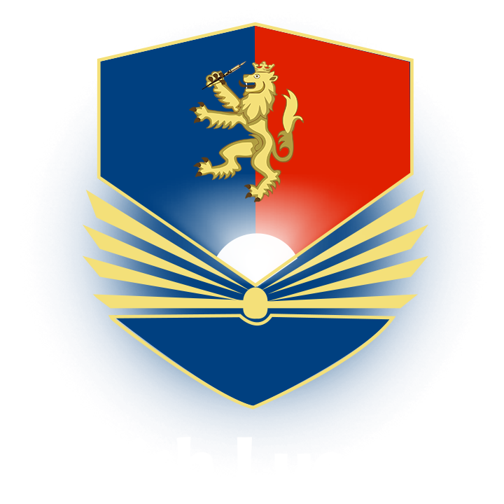 Blis Logo